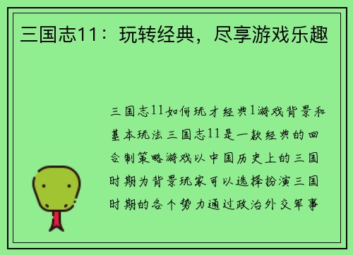 三国志11：玩转经典，尽享游戏乐趣